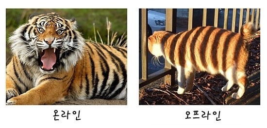 00.jpg