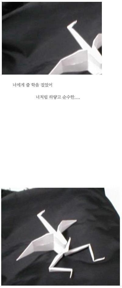 학을접었어.jpg