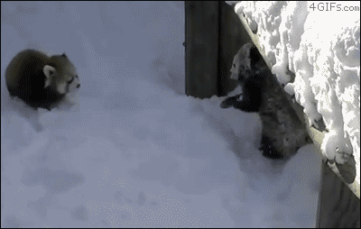하이파이브.gif