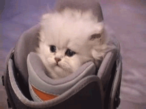 RrAchMvlqBE2nZqdcrmNlWJISnRART.gif