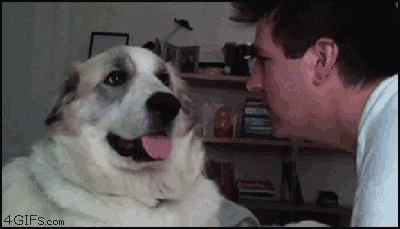 673791292.gif