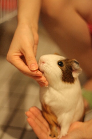 sir_co_kr_20121114_120342.jpg