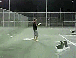 444.gif
