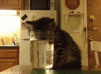222.gif