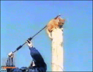 e6b7b9574511c6b4f0e8529bd721899e.gif