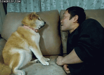 거부.gif