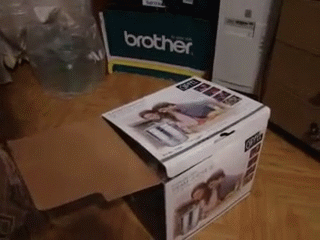 tumblr_mp6w48qe5n1s7wdtto1_400.gif