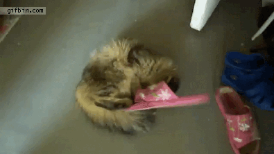 잇힝.gif
