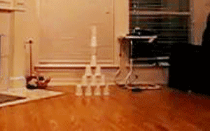 52412c69097dd3c42f0d.gif