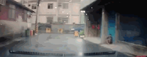 06082013-gifki-gifki-smeshnye-gifki-animashki_9111616634.gif
