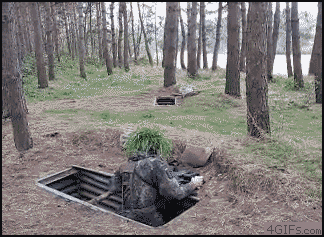 1265179220_5bdbd9e5_63.gif