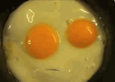 A4BBA4BBA4BB.gif
