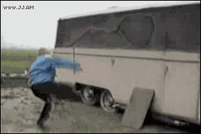 8.gif