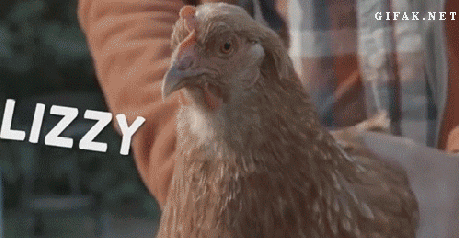 2950636814_f32969a8_f530dc45a96b1d5e3fc1a4e52c944137.gif