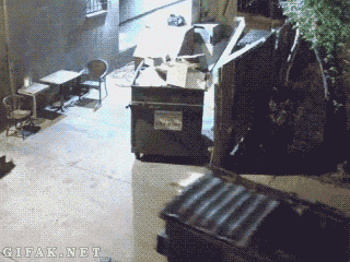ㅋㅋ.gif