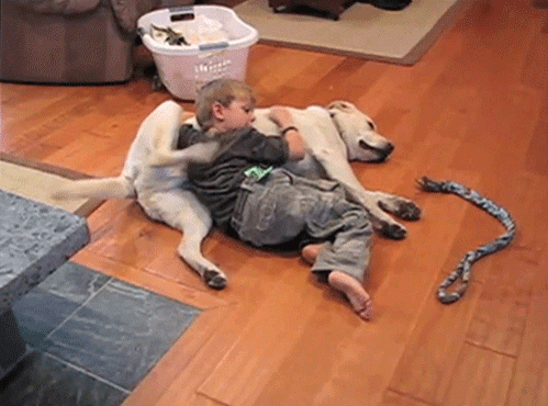 dog2.gif