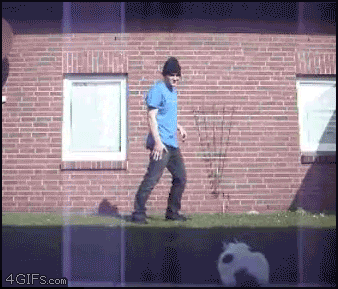 비보비보비보잉.gif