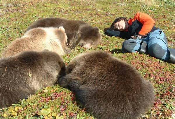 곰_만나서_죽은척_했더니.jpg