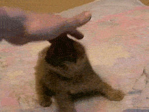 EFBFBDCDBFEFBFBDEFBFBDEFBFBD_EFBFBDEFBFBDEFBFBDEFBFBD_.gif