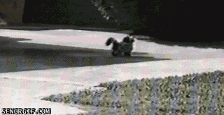2034457238_uti1Ol7n_6.gif