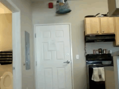0042.gif