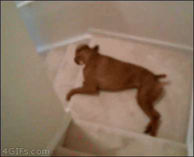165caefabc668d456f19e10116bbba24.gif