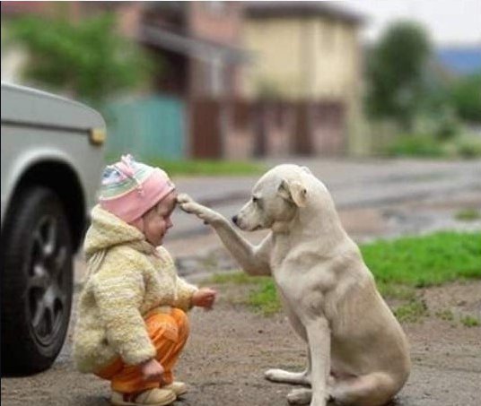 1385282818pAw9EWs3RcW6jvl.png