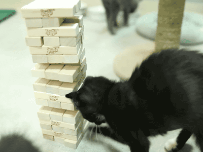 213ㅇㄴㅇㄴㅇ.gif