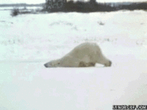 11c0272f-08fc-4527-9ff8-46c390e71081.gif