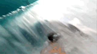 21791B4B51741F300A012A.gif