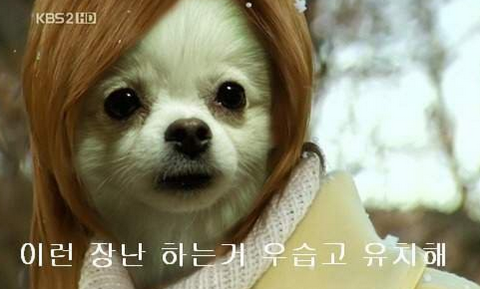스크린샷 2013-11-08 오후 10.26.48.png