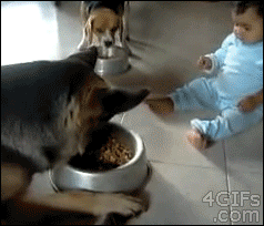 211FC83852A15743119246.gif