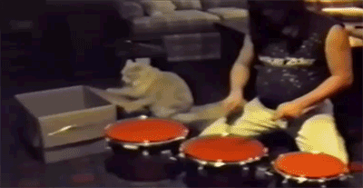 둠칫둠칫.gif