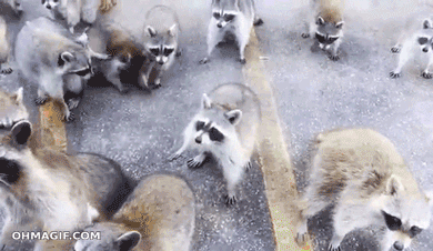 where-are-our-doritos-take-this-thanks.gif
