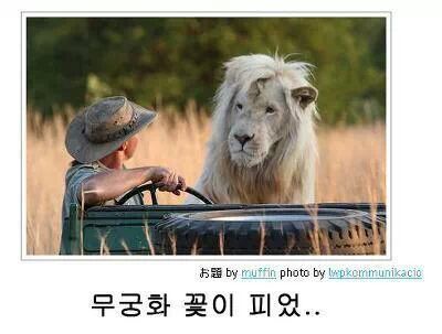 무궁화꽃이피었...jpg