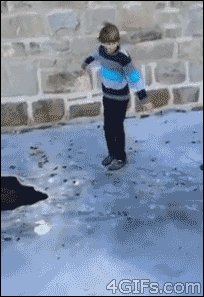 224A9A4552A2E540217DFD.gif