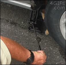 233B5F4352A2E46D2A6F04.gif
