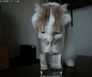 1adb34753791b24001720eaba128554e_NWCkLZHwDZweeCy4iIEQvDISkHUJSsM.gif