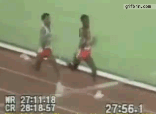 움짤움짤.gif