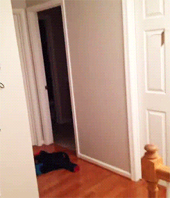 770a891025ade1f0c086fe0b1484e828_Aup2UpFwoSjmlpHKV1DCVcXTxtwQBx.gif