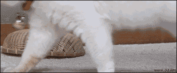 ㄷ8.gif
