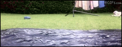 ㄷ4.gif