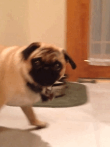 ㄷ10.gif