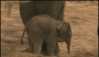 ㄷ11.gif