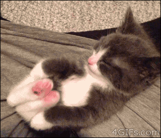 b7b6bf20cb8b5a0b24f8e4e16b2b279d_1415083183_7029.gif b7b6bf20cb8b5a0b24f8e4e16b2b279d_1415083183_7029.gif
