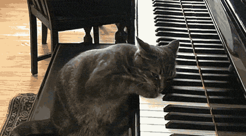 50507868bd5866e920b65c6dd017226a_1422602436_2932.gif
