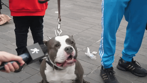 4c34d598258565674367fdaefa2c3252_1713407245_4842.gif