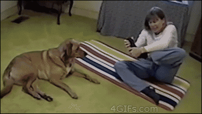 1fb7475beb7186a91cf5627a04e15bd2.gif