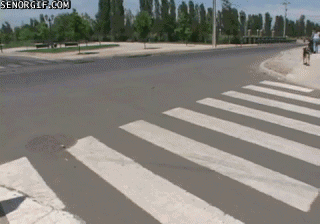 134248824974408.gif