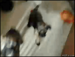 EB848C_ECA280_EBB9A0ECA0B8.gif